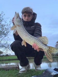 Northern Pike