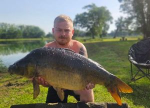 Mirror Carp