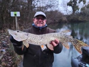 Northern Pike