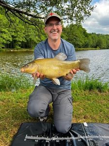 Tench