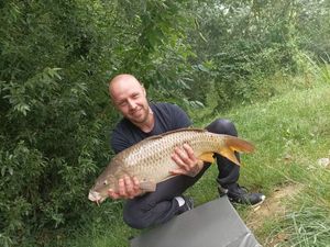 Common Carp