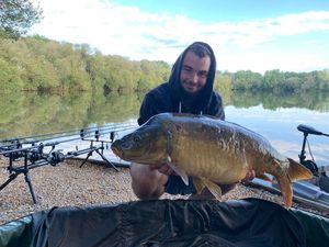 Mirror Carp