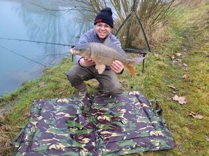 Common Carp