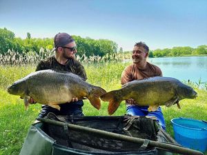 Mirror Carp