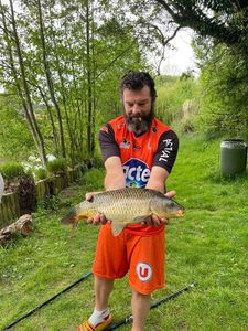 Common Carp