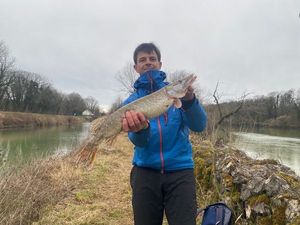 Northern Pike