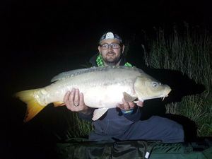 Common Carp