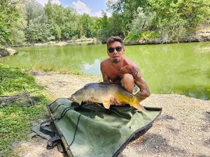 Mirror Carp