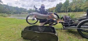 Sturgeon