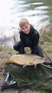 Common Carp