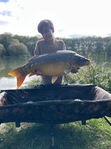 Mirror Carp