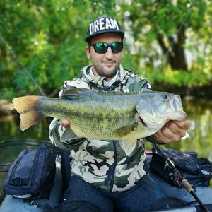 Largemouth Bass