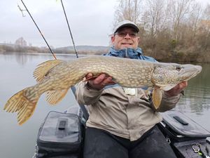 Northern Pike