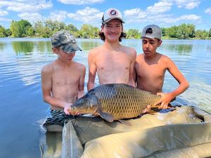 Common Carp