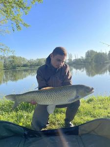 Grass Carp