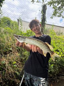 Northern Pike
