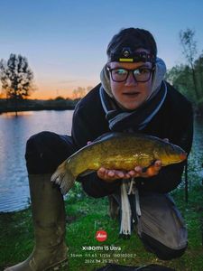 Tench