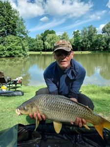 Common Carp