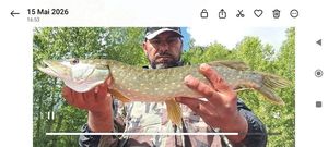 Northern Pike