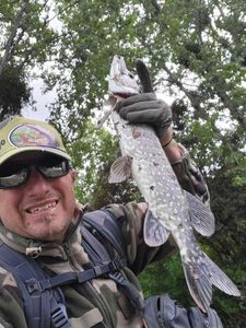 Northern Pike
