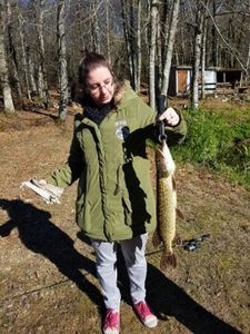 Northern Pike