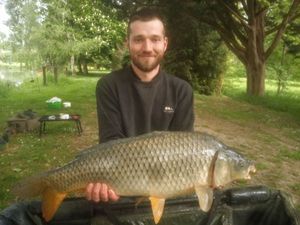Common Carp