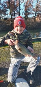 Largemouth Bass