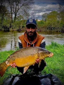 Mirror Carp