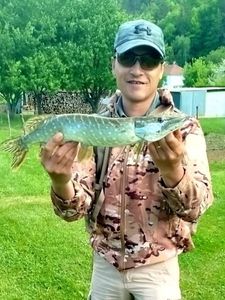 Northern Pike