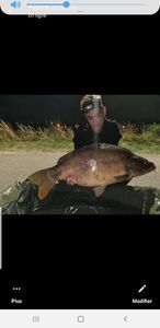 Mirror Carp