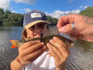 European Perch