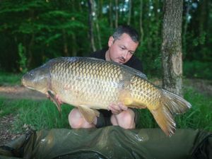 Common Carp