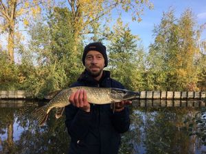 Northern Pike