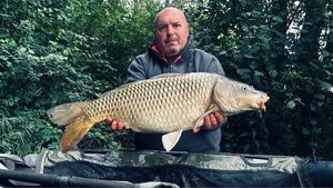Common Carp
