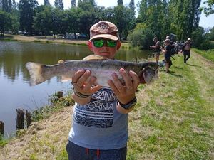 Rainbow Trout