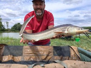 Sturgeon