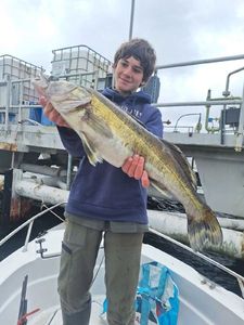 Zander