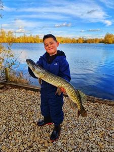 Northern Pike