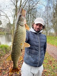 Northern Pike