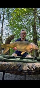 Mirror Carp