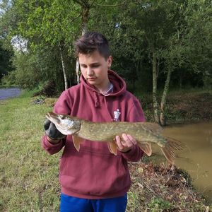 Northern Pike
