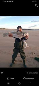 European Bass (Seabass)