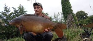 Mirror Carp