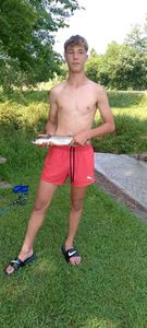 Thicklip Grey Mullet