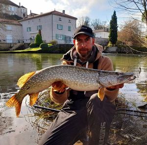 Northern Pike
