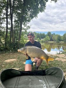 Common Carp