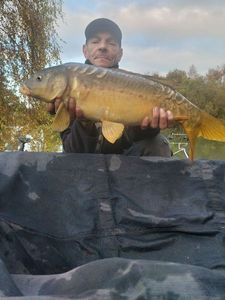 Mirror Carp