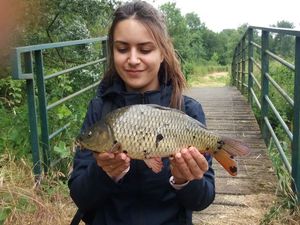 Crucian Carp