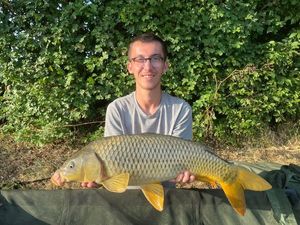 Common Carp