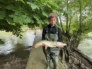 Northern Pike